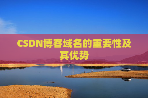 CSDN博客域名的重要性及其优势